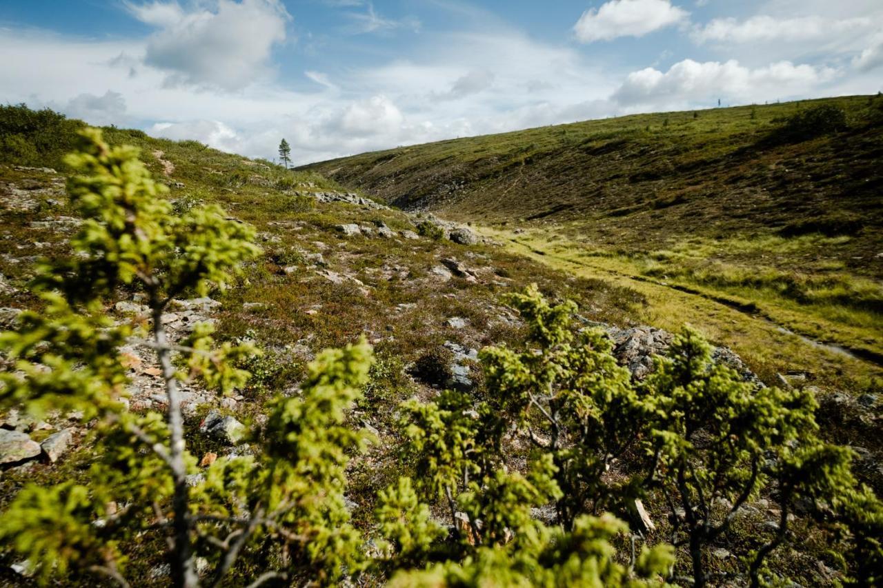 Norlight Cottages Ivalo - Tuli Bagian luar foto